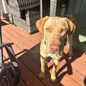 Meet your Posher, Mackenzie